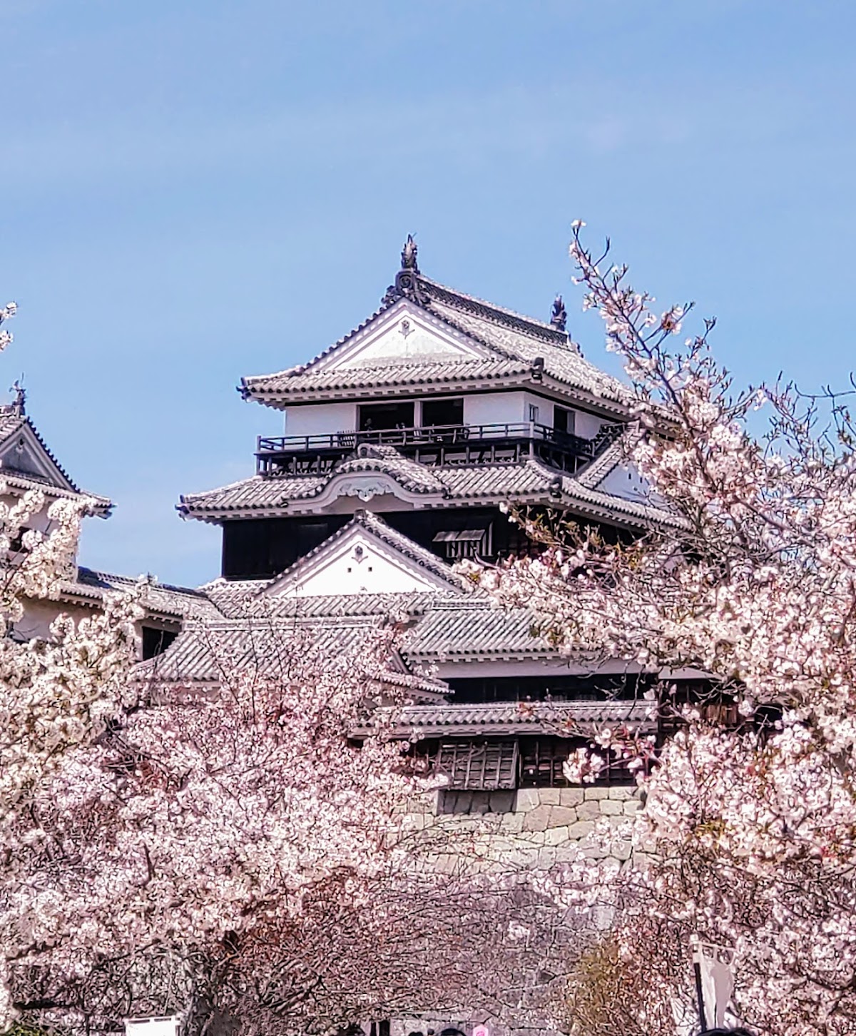 松山城