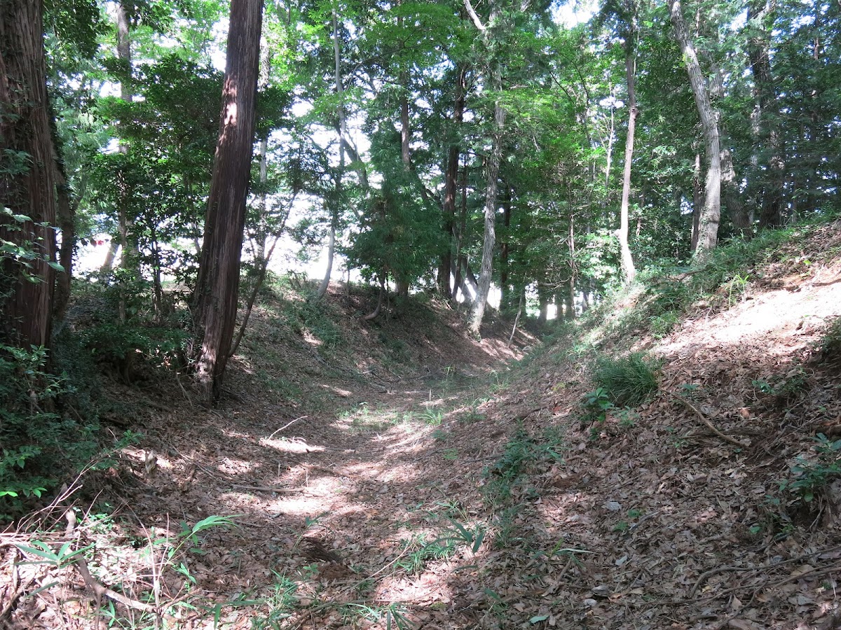 今井城(東京都・青梅市)