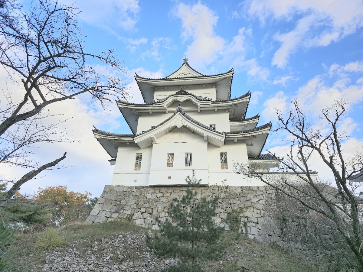 伊賀上野城