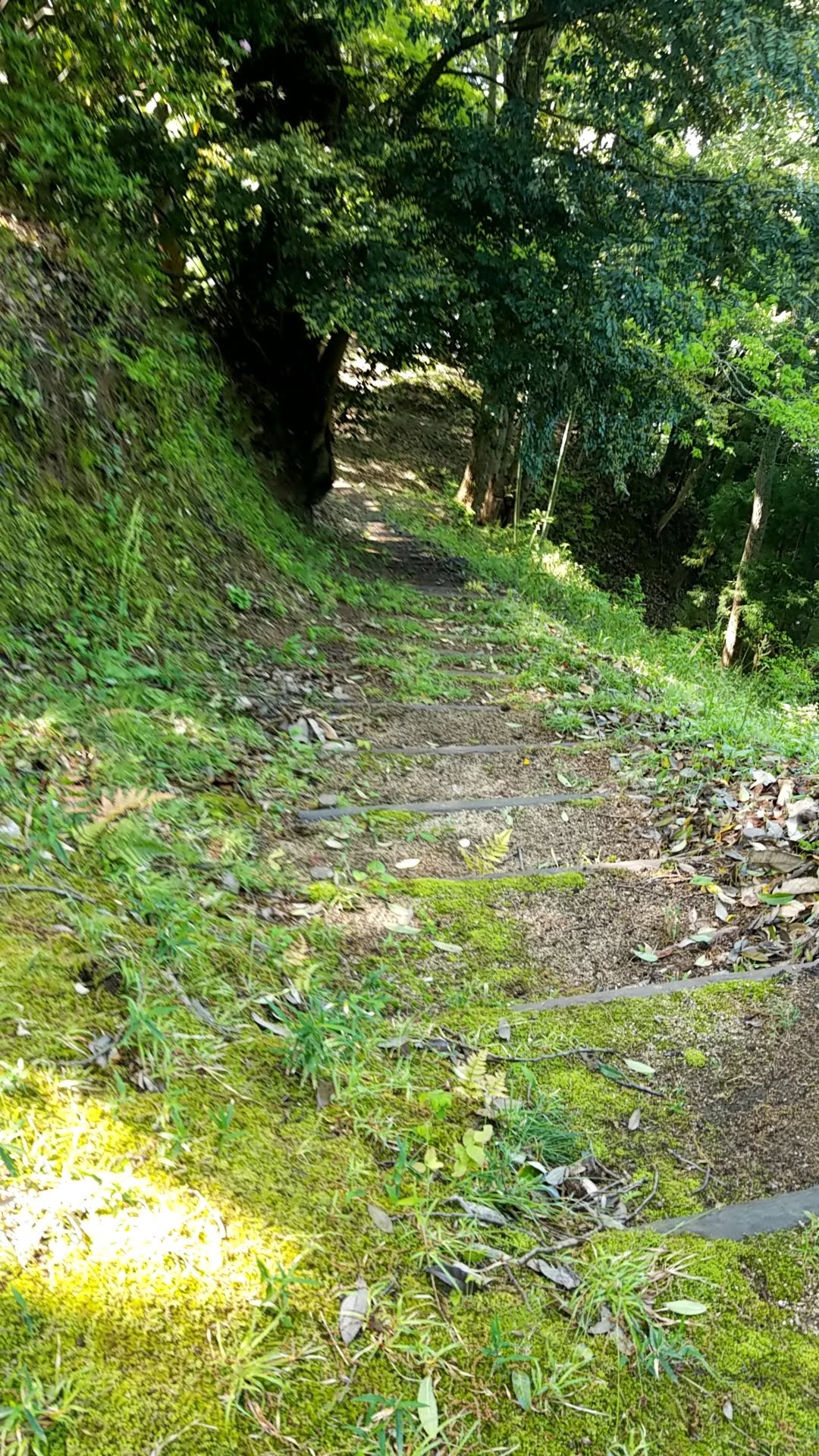 弓木城