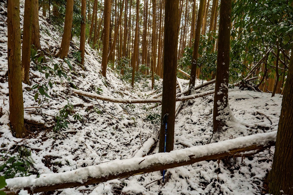 佐味城