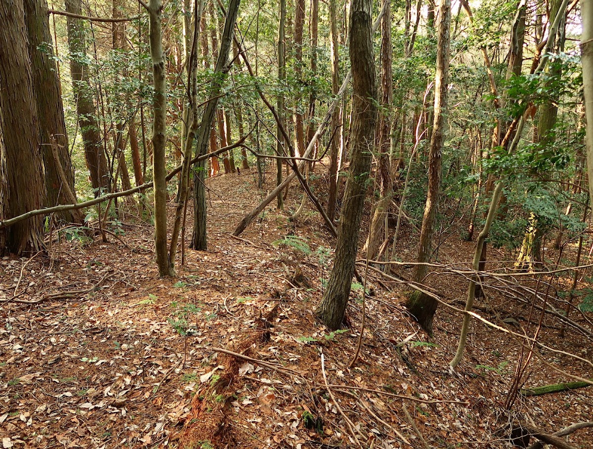 丸岡城（滋賀県湖南市）