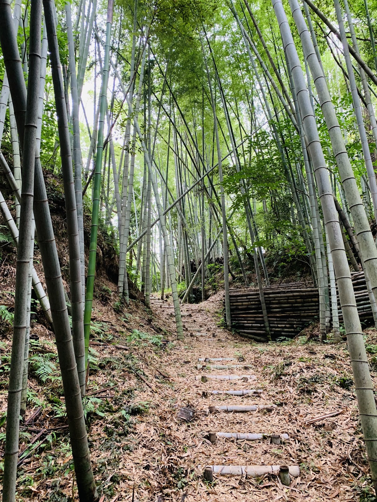 串木野城（鹿児島県）