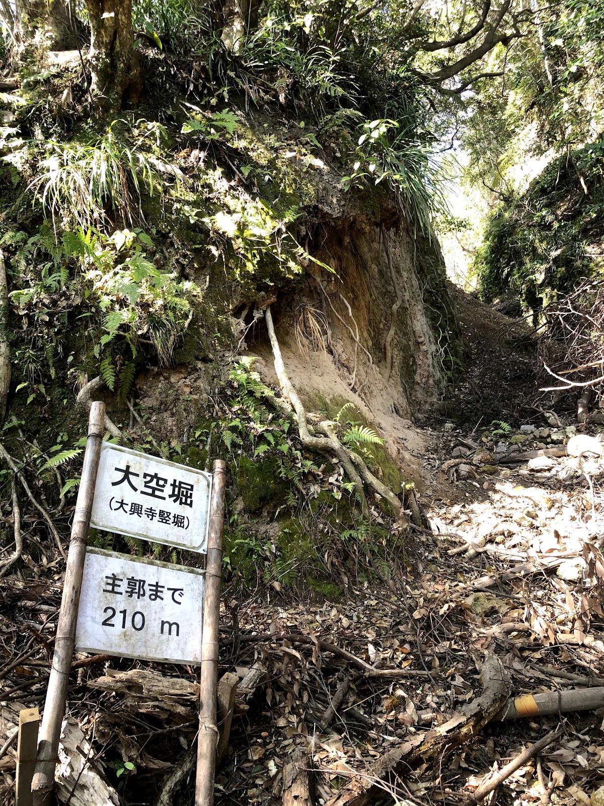 清水城（鹿児島県・鹿児島市）