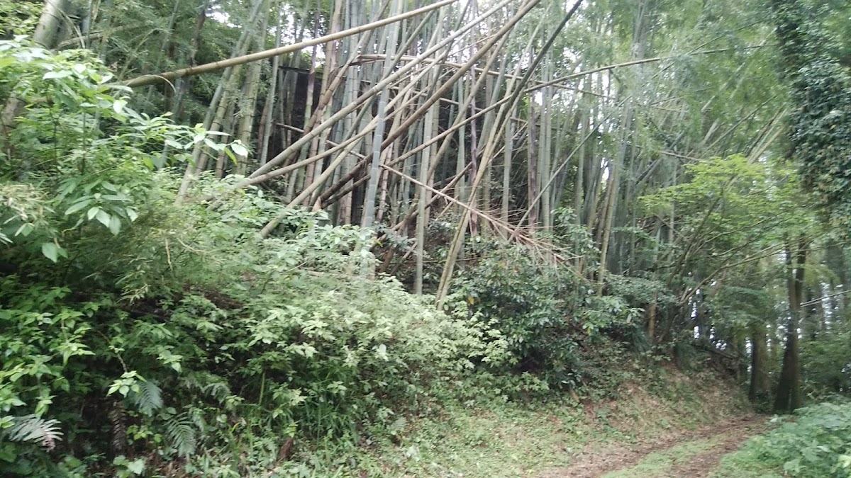 加治木城（鹿児島県）
