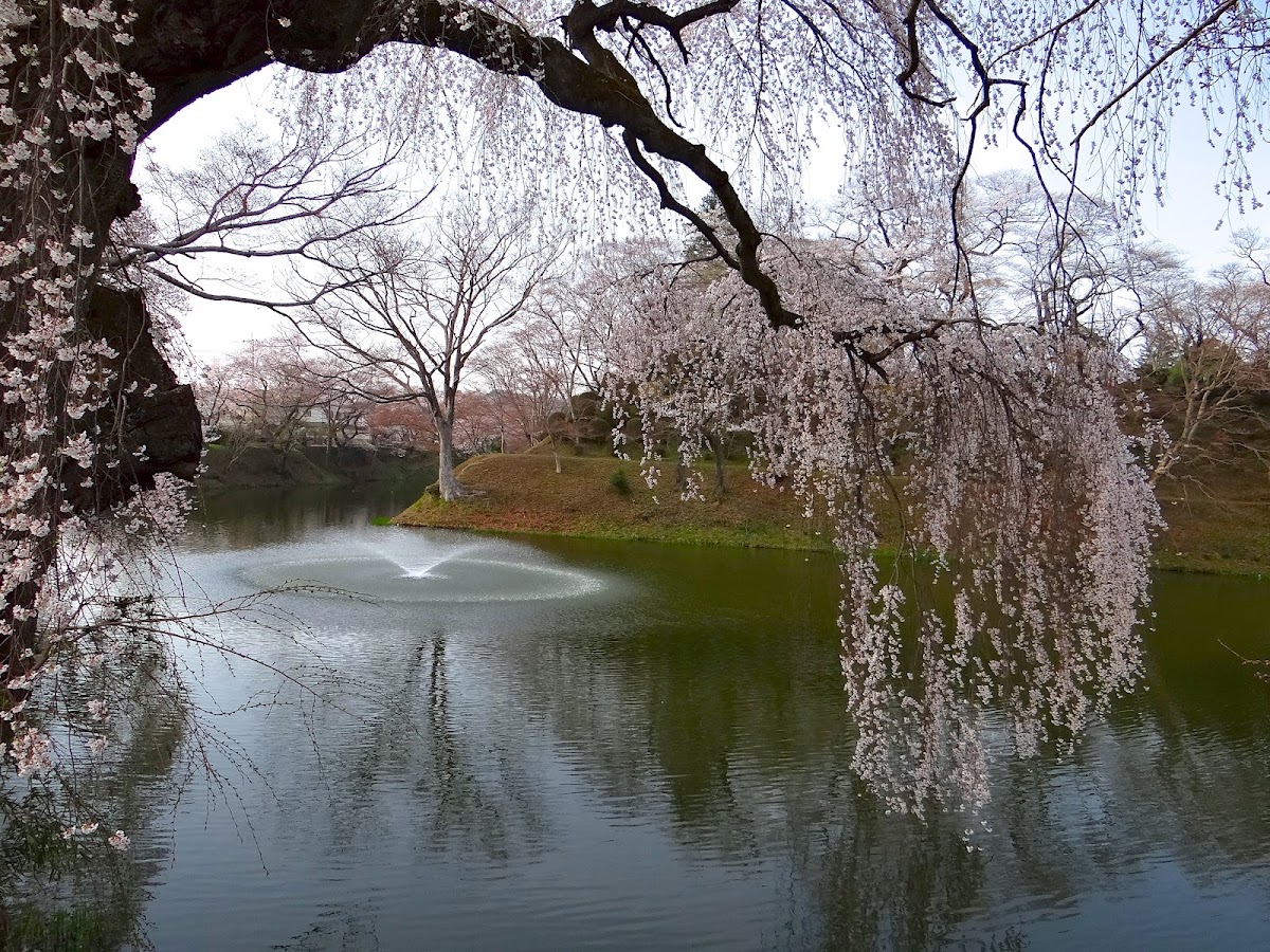 棚倉城（福島県）