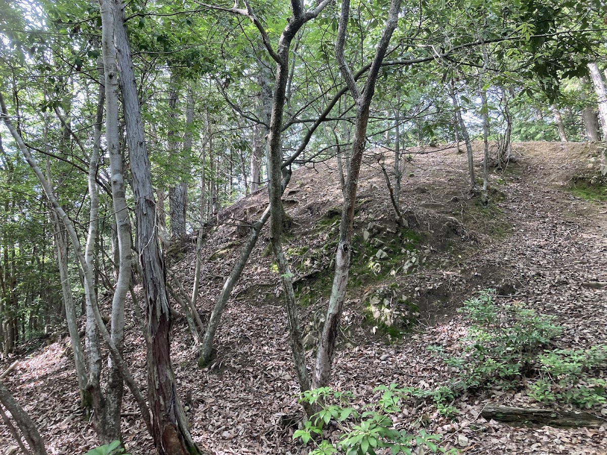 桂城（広島県安芸高田市）