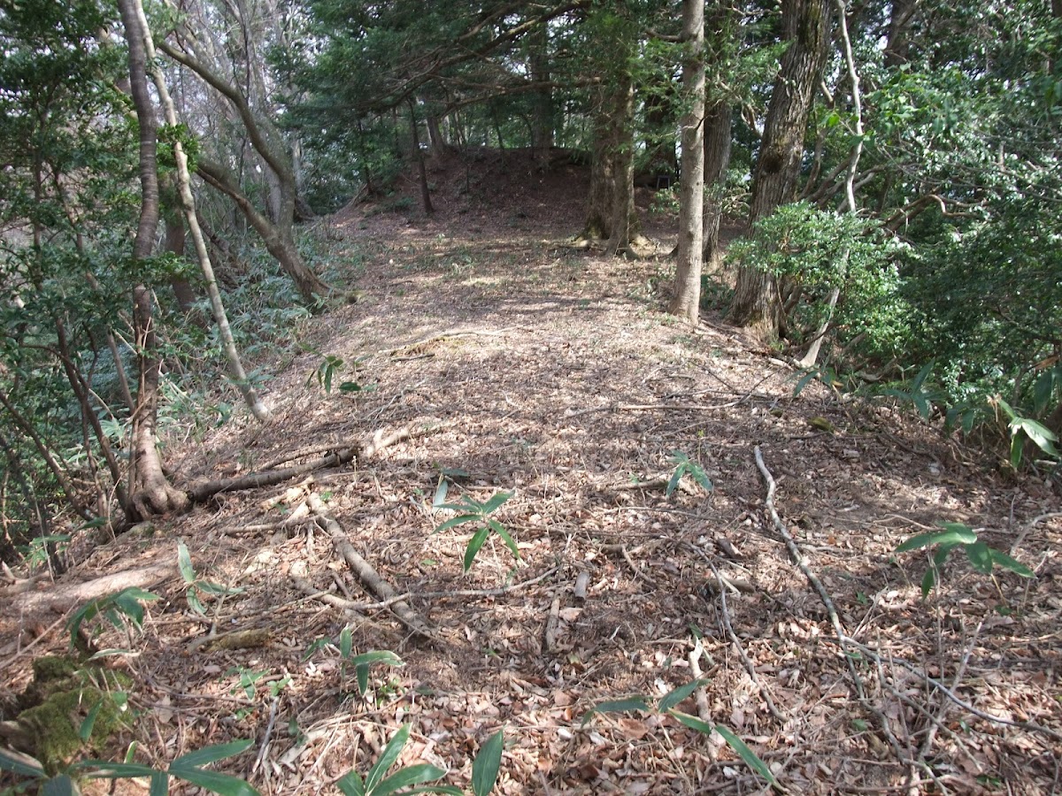 藤掛山城（山口県）