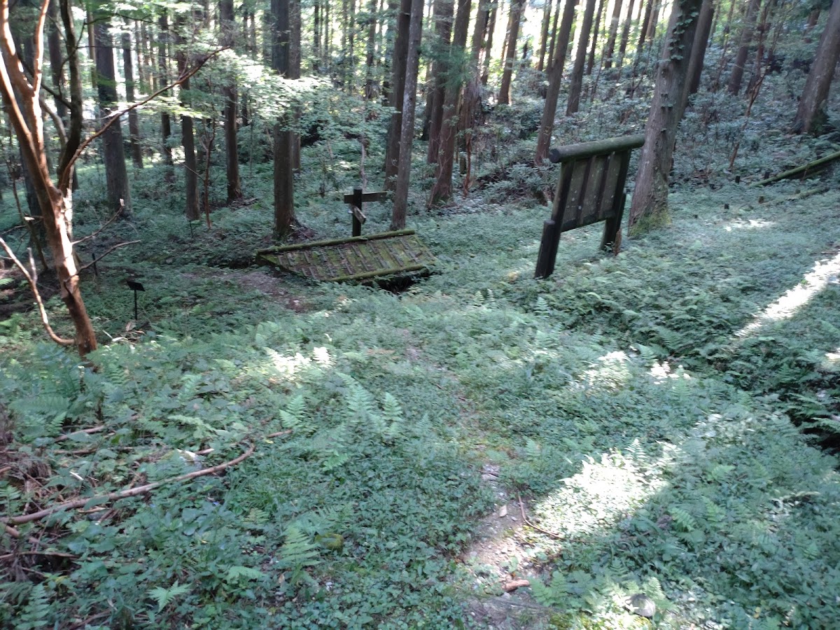 本山城(高知県・長岡郡)