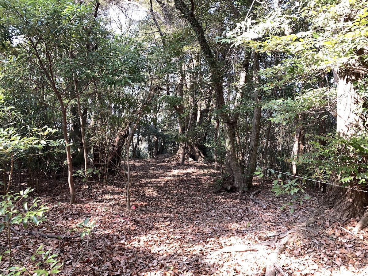 须崎城（高知县）