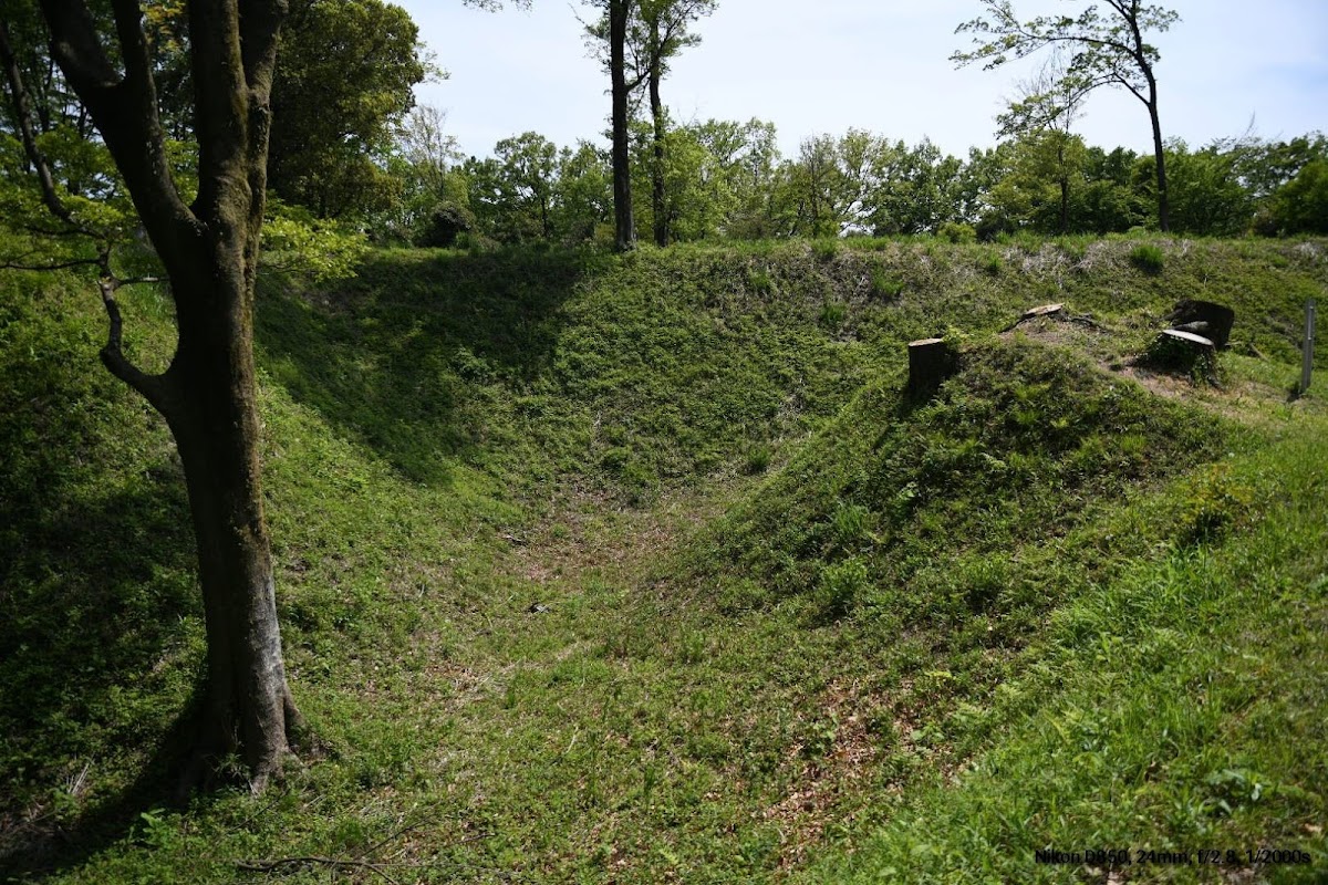 菅谷館（埼玉県）