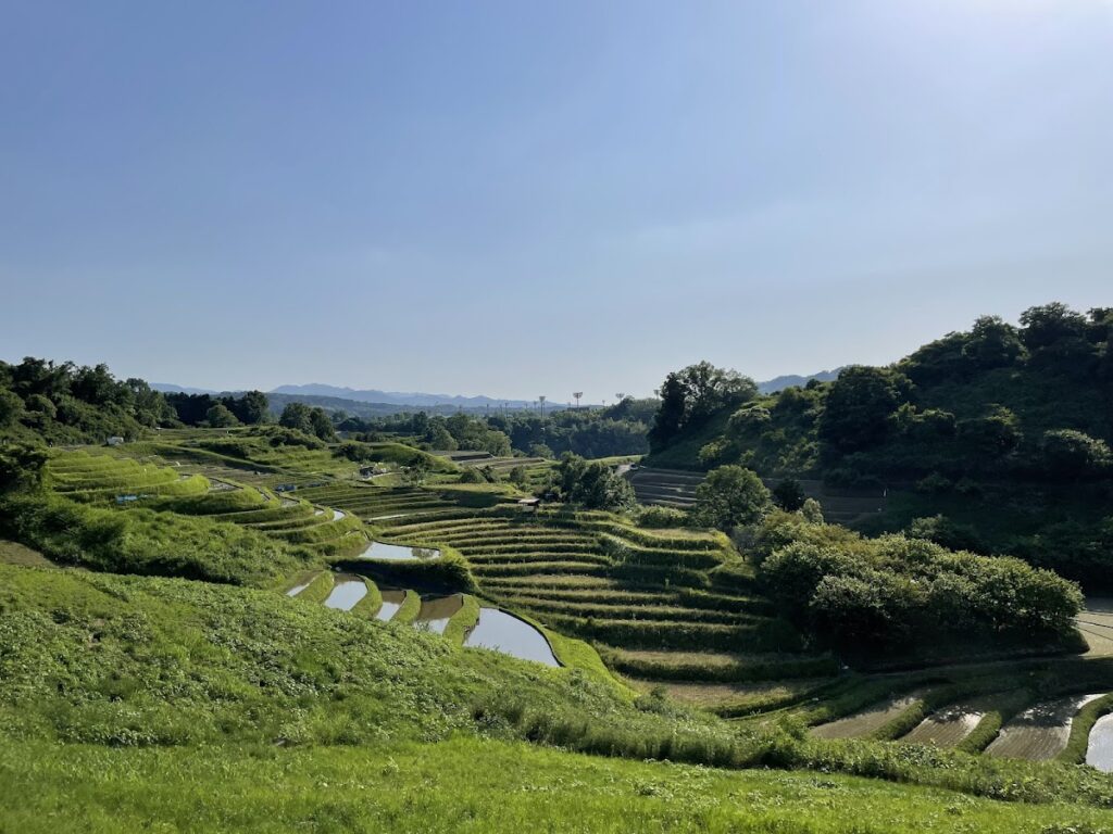Shimo-Akasaka Castle (Osaka Prefecture)