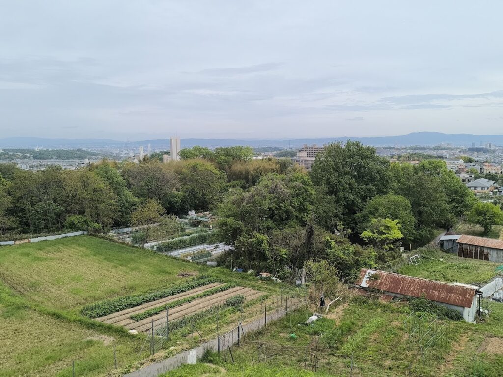善福寺原城(大阪府箕面市)