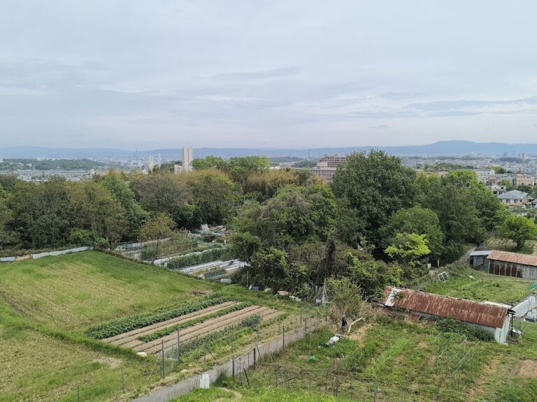 善福寺原城(大阪府箕面市)