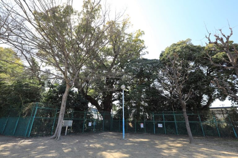陶器城（大阪府堺市）
