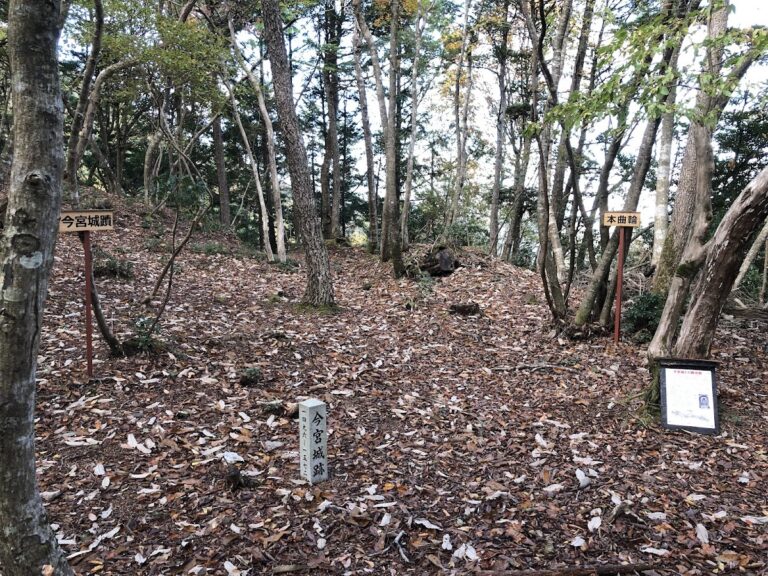 今宮城（京都府）