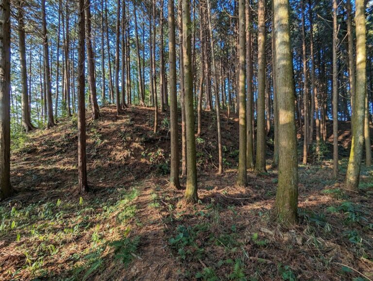 和田城（滋賀県甲賀市）