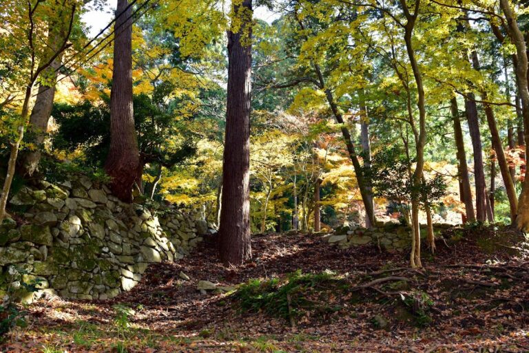 百済寺城（滋賀県）