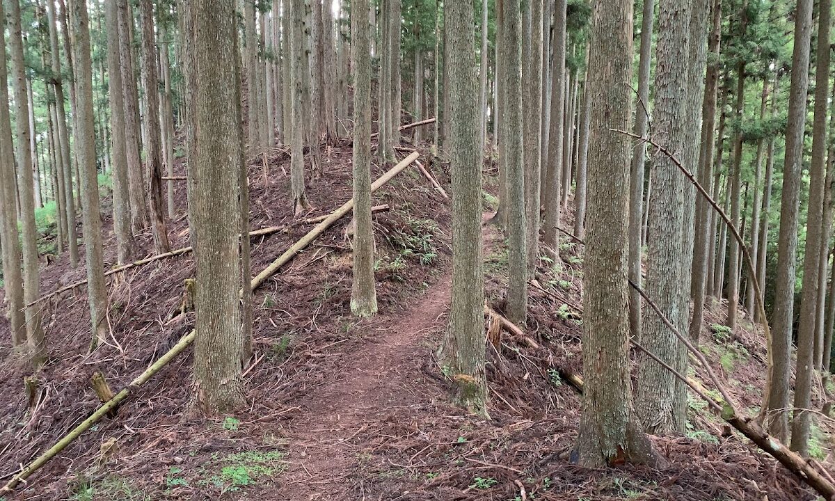 Kitabatake Clan Residence