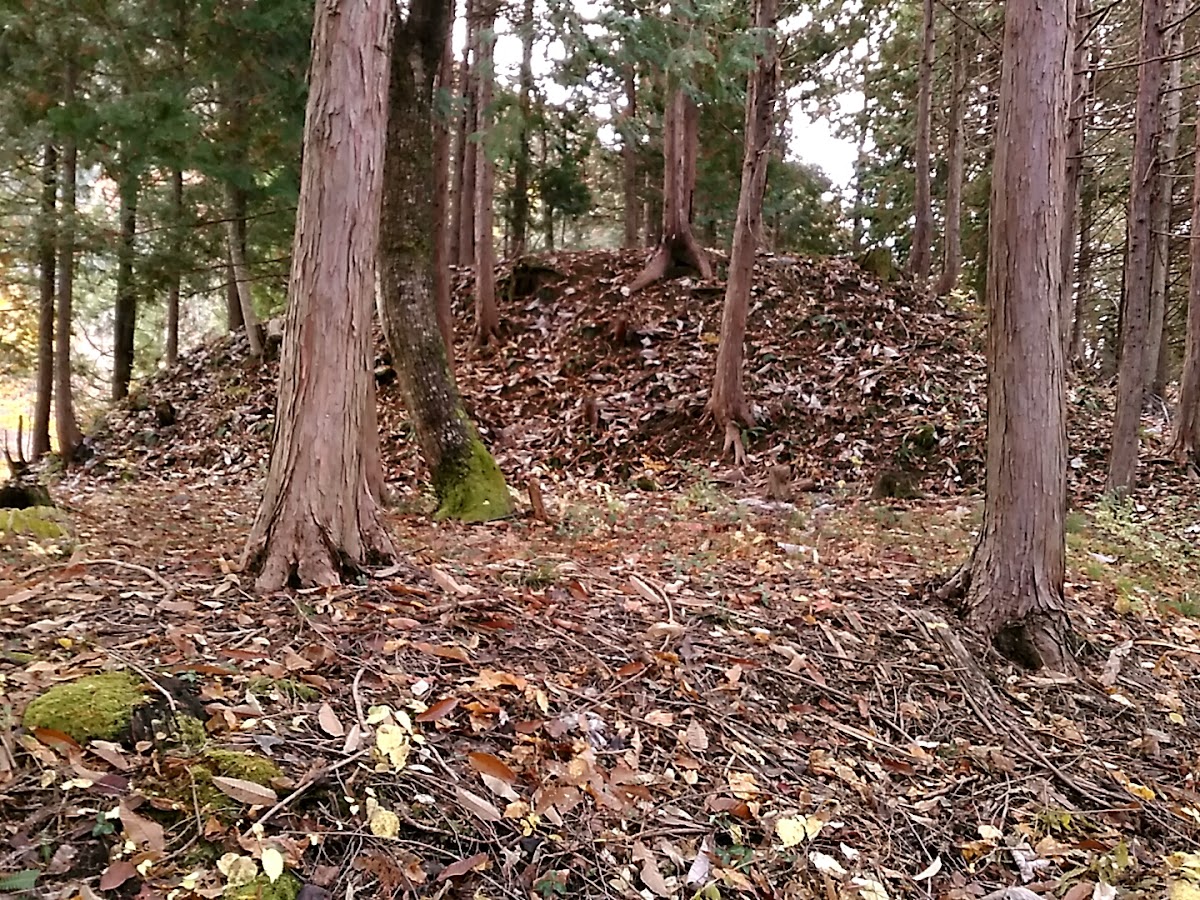 寺林城