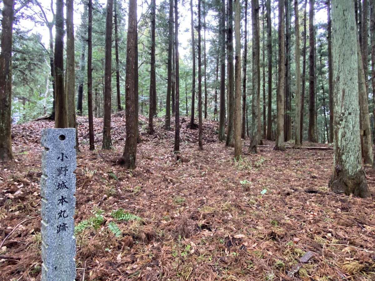 小野城