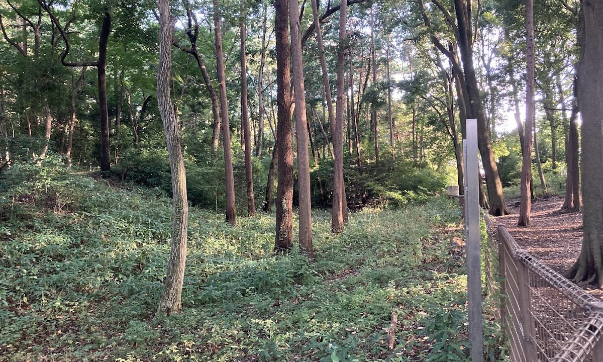 Shakujii Castle (Tokyo)