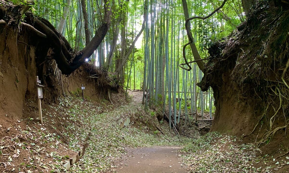 小野寺城（东京都町田市）