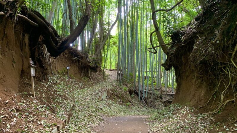 小野路城（東京都町田市）