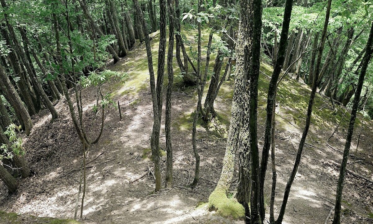 八木古城（兵库县）