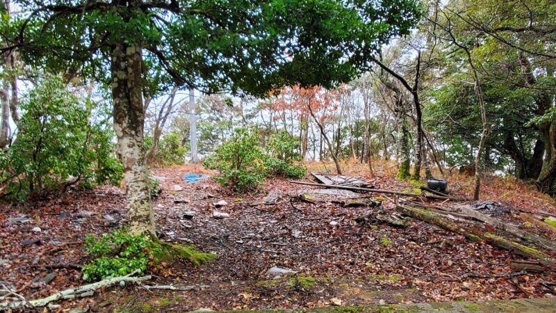 鶴城（兵庫県豊岡市）