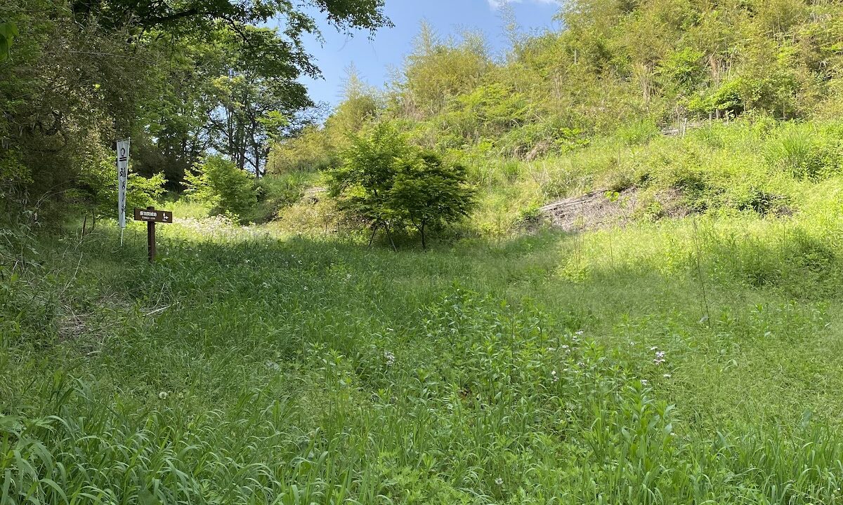 相羽城（岐阜県）