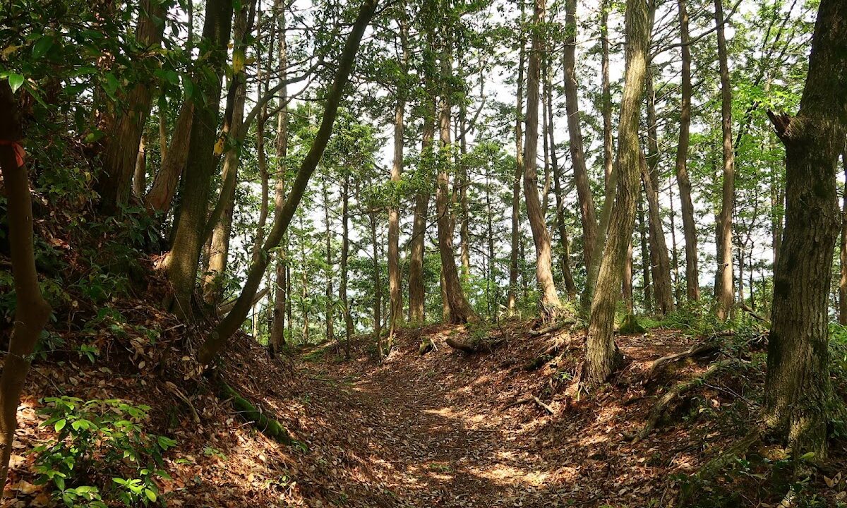 米田城（岐阜県）