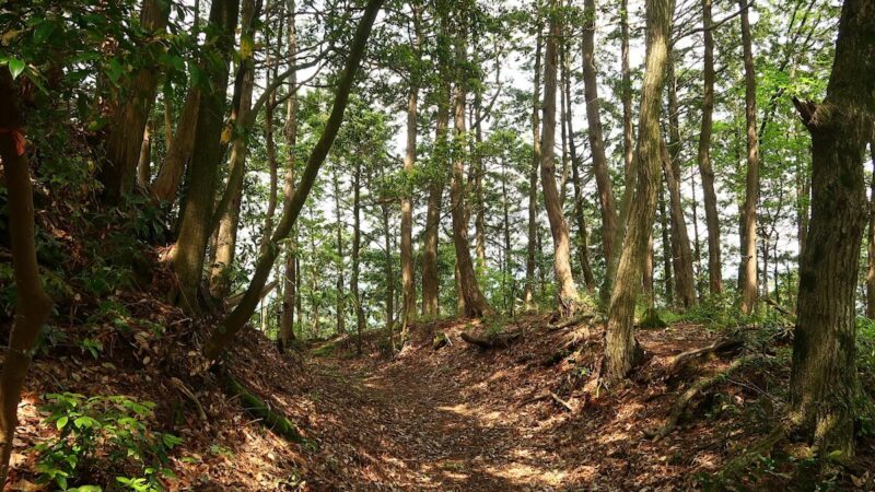 米田城（岐阜県）