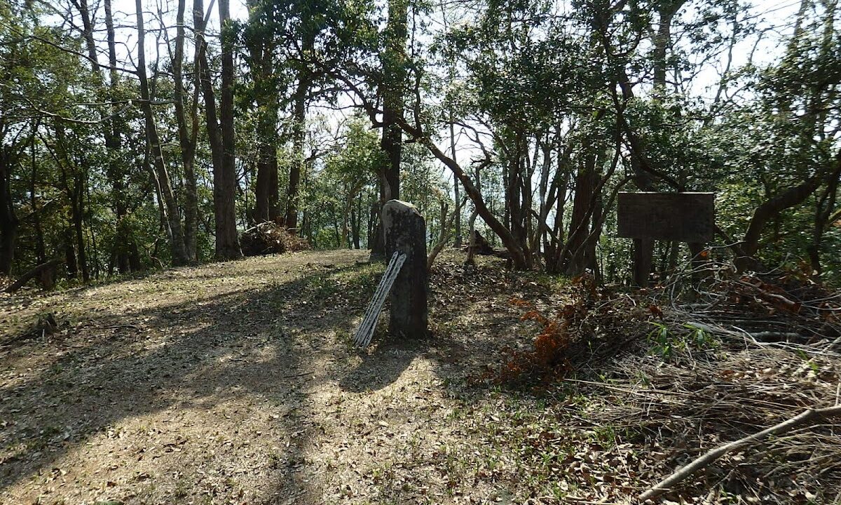 堂洞城（岐阜県）