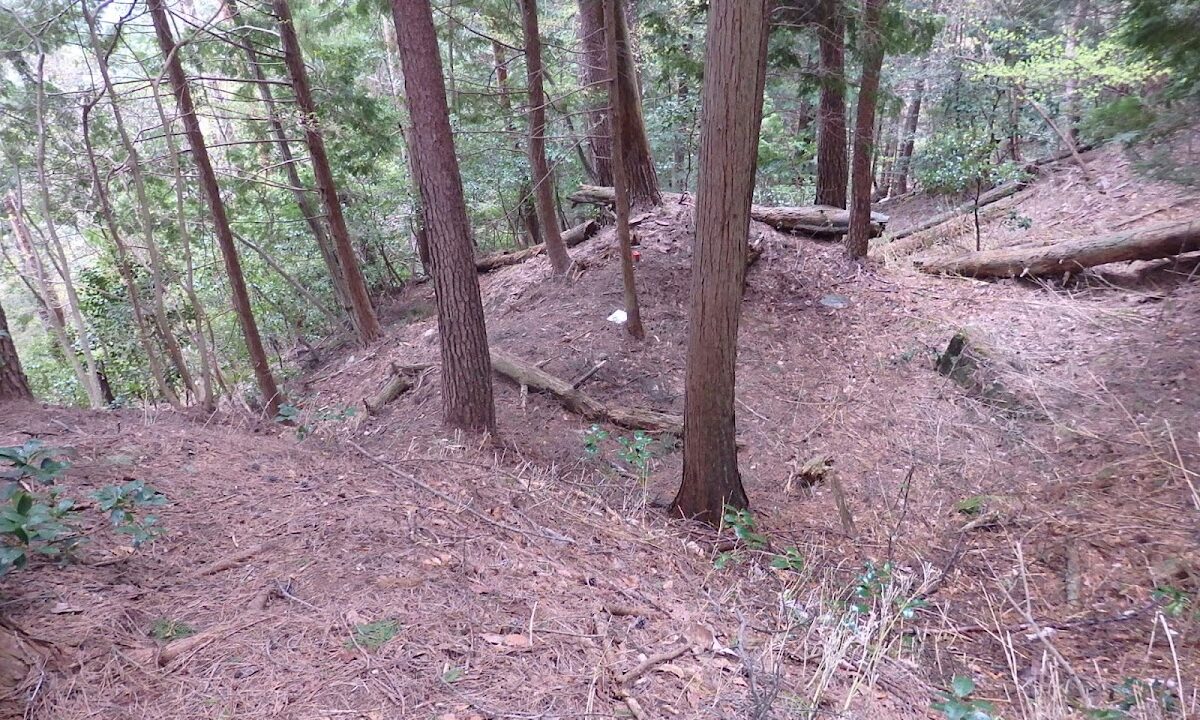 小島城（岐阜県・揖斐郡）