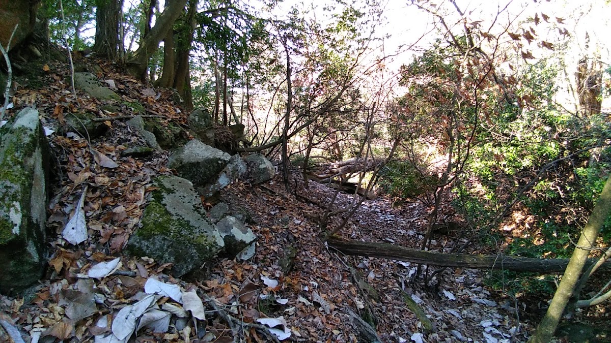 阿寺城（岐阜県）