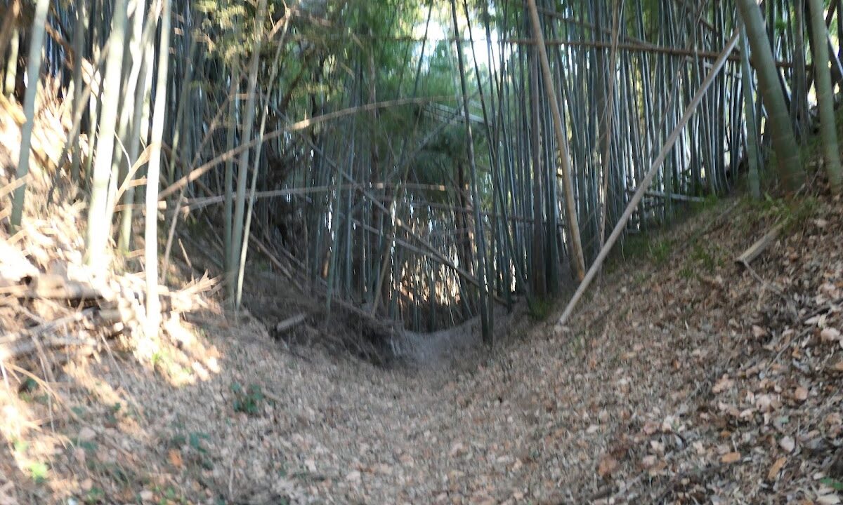 Ushiku Castle (Ibaraki Prefecture)