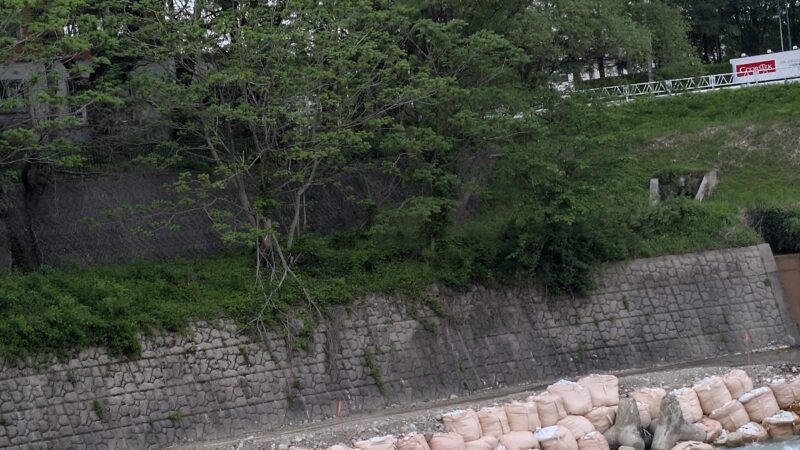小国城（山形県小国町）