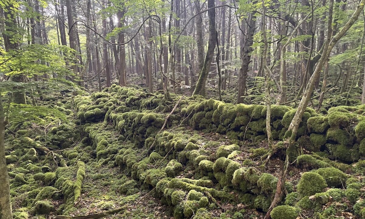 本栖城（富士河口湖町）