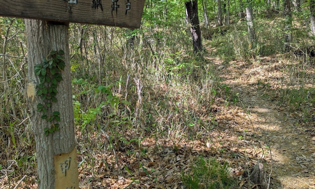 湯村山城 甲府市（山梨県）
