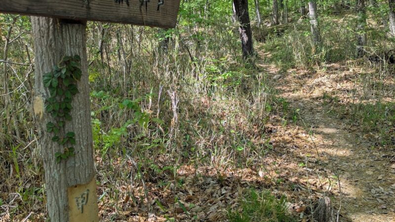 湯村山城 甲府市（山梨県）