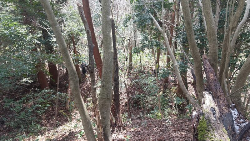 森寺城（氷見市）