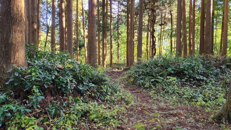 舟岡城（白山市）