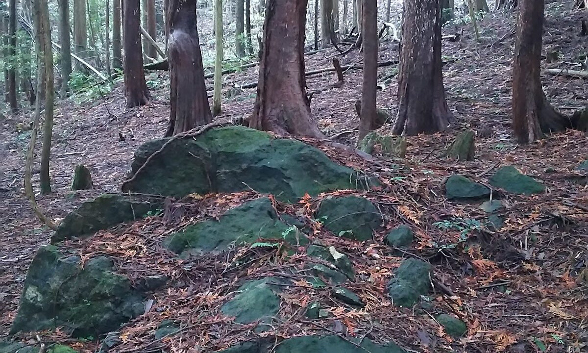 天堂城 輪島市（石川県）