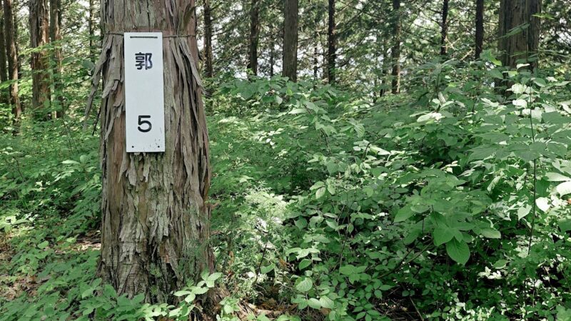 村岡山城（福井県勝山市）