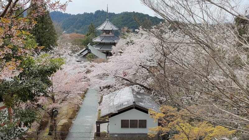 吉野城（奈良県吉野郡）