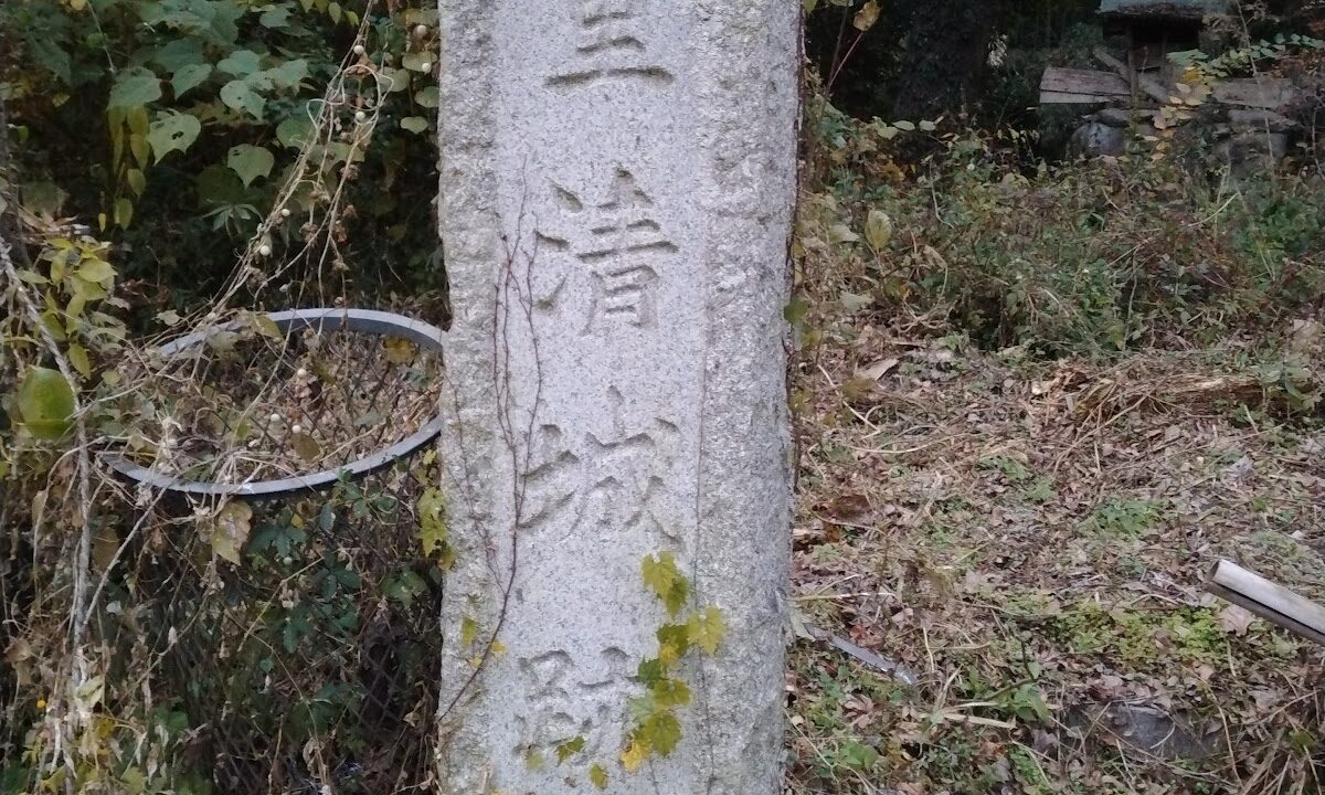 重清城 美馬市（徳島県）