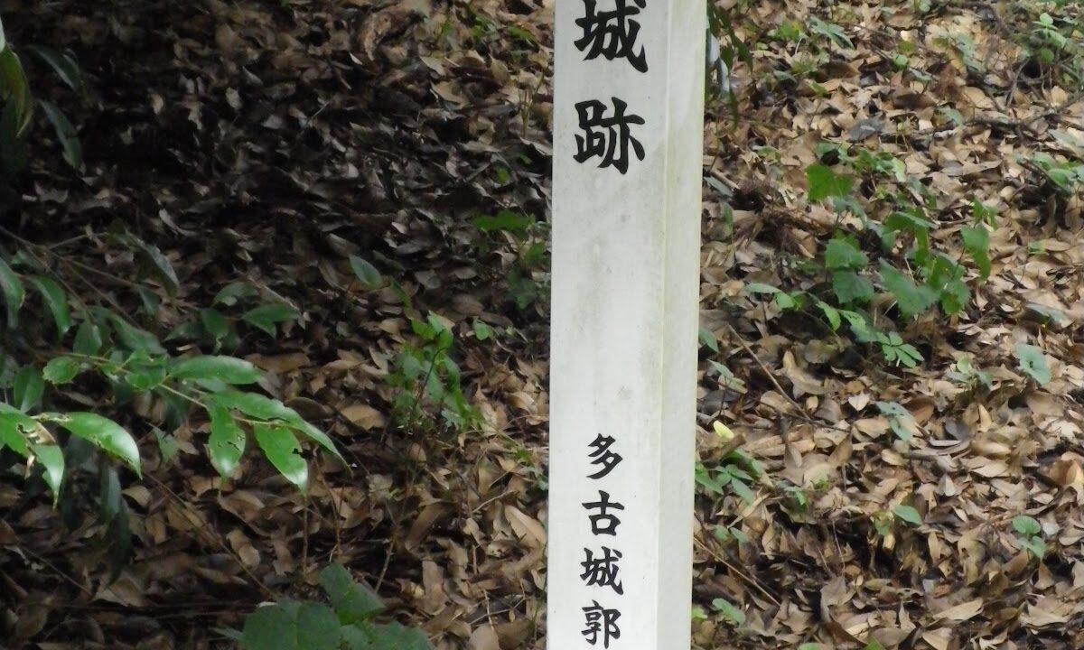 도바시성(지바현 다코초)의 역사와 볼거리