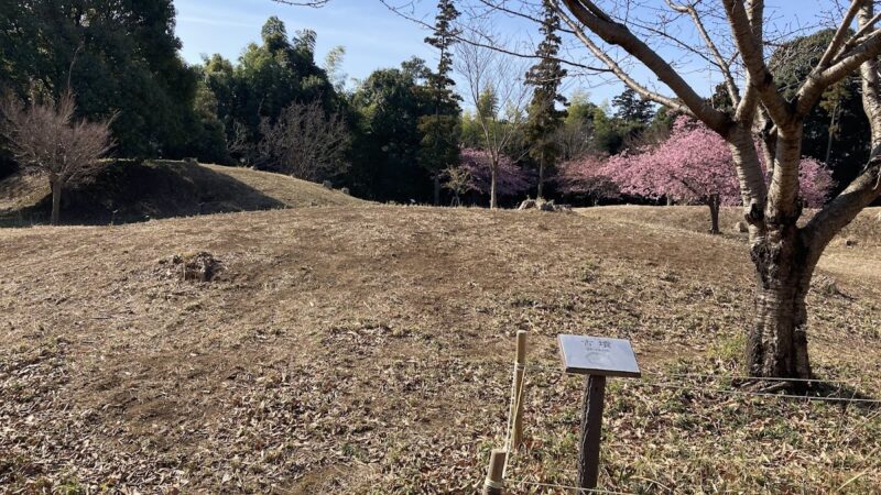 松ヶ崎城跡(柏市)