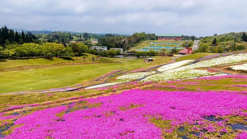 大森城（秋田県横手市）の歴史と見どころ